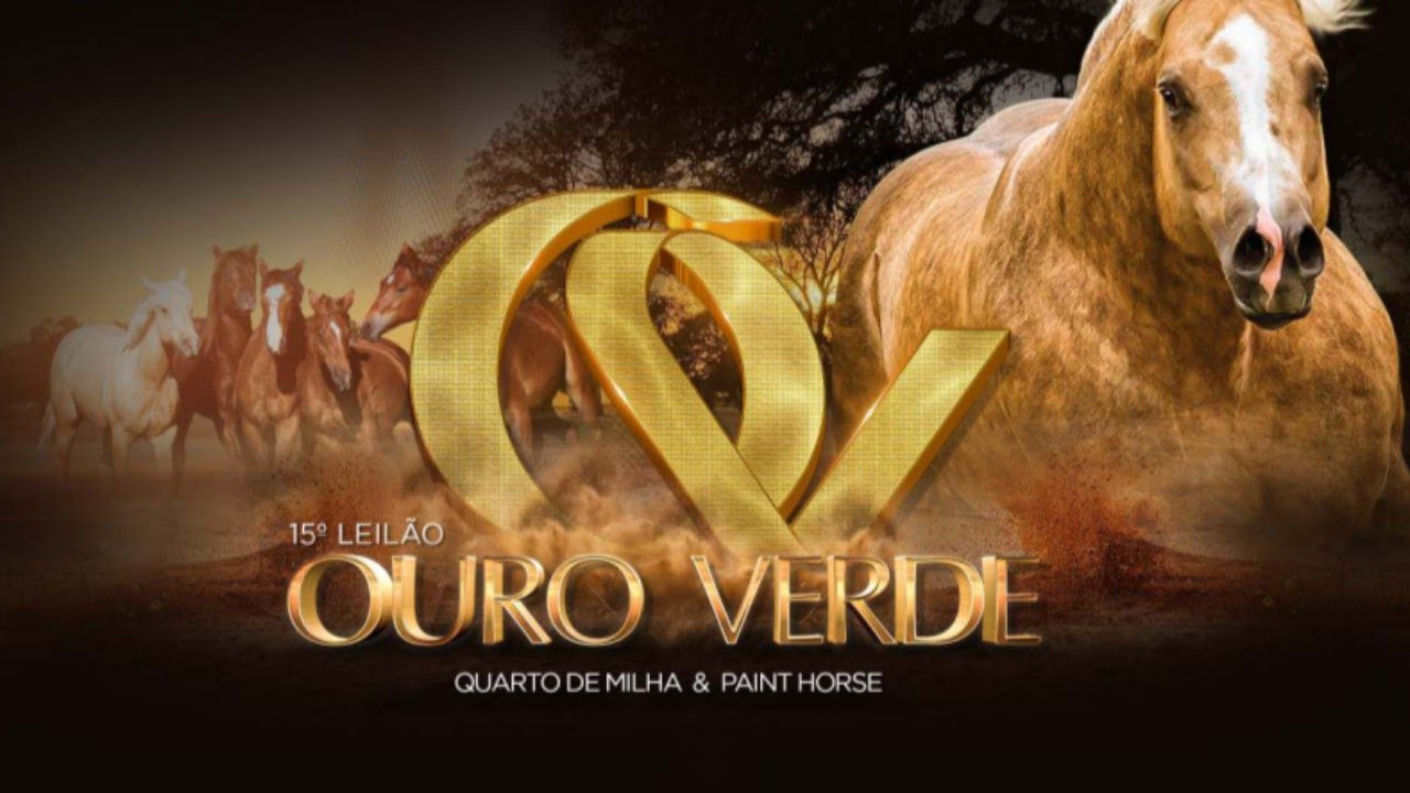 15° LEILÃO OURO VERDE QUARTO DE MILHA E PAINT HORSE - CAMPO GRANDE/MS - RURALPLAY