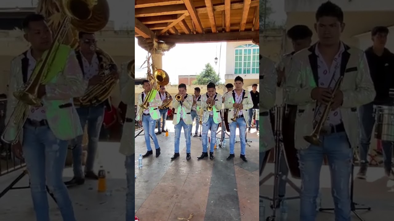 Banda Los De La Reina De Cheranastico Michoacán - Popurrí De Sones 💯👌