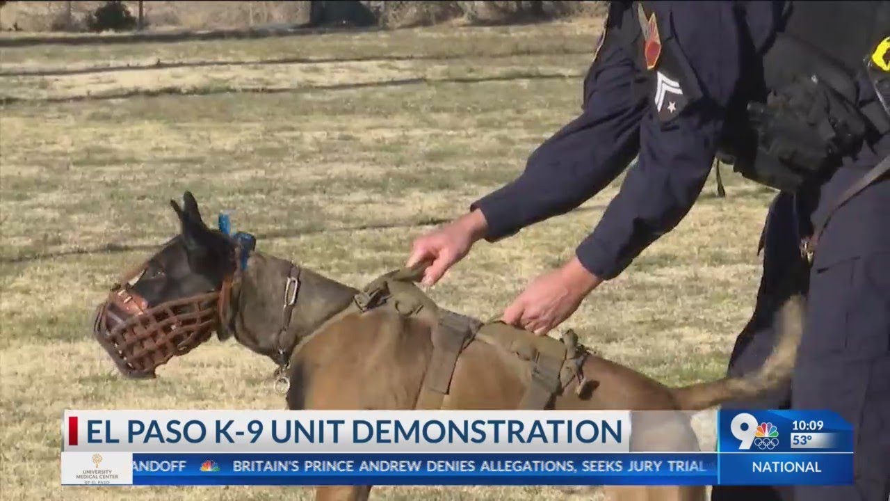 EPPD touts the protection, prevention K9 Units provide