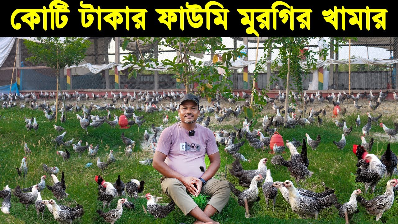 কোটি টাকার ফাউমি মুরগির খামার। ফাউমি মুরগির খামারে ভাগ্যবদল সৌদিআরব প্রবাসী গিয়াসউদ্দিনের।Morgi