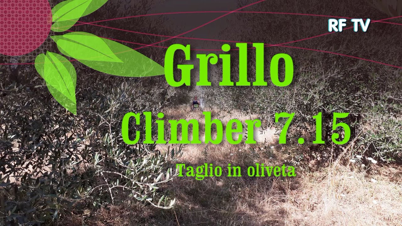 Grillo - Climber 7,15  - Taglio in oliveta