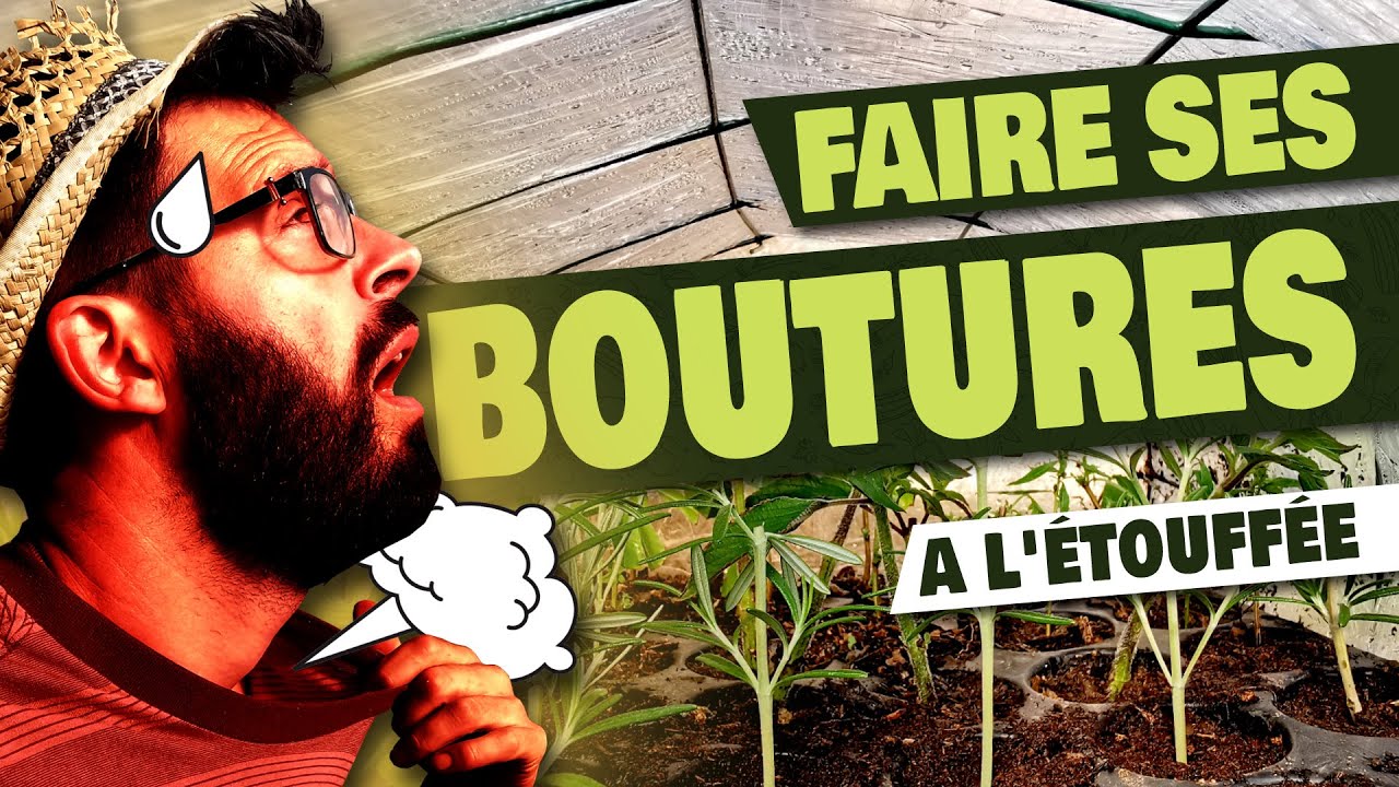 Faire les BOUTURES à l'étouffée - 3 exemples en septembre