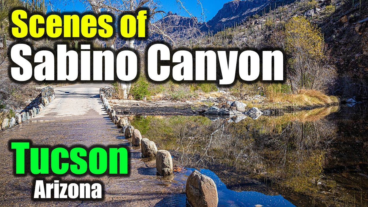 Scenes of Sabino Canyon | Tucson Arizona