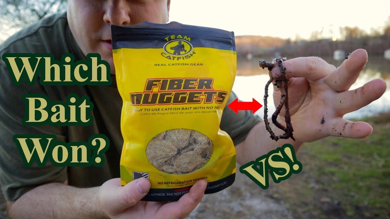 Fiber Bait vs Crawlers - Which one won?