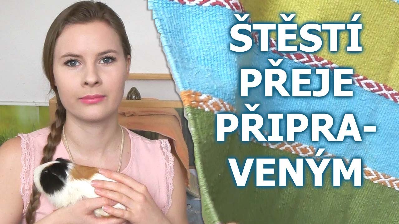 S čím počítat předem | Morče na Textilu 2. díl | Alue