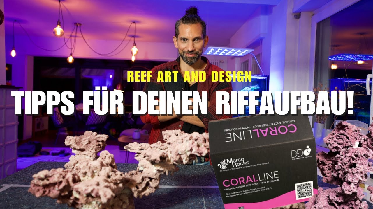 Welches Material solltest du f&uuml;r den Riffaufbau verwenden und auf was solltest du achten!