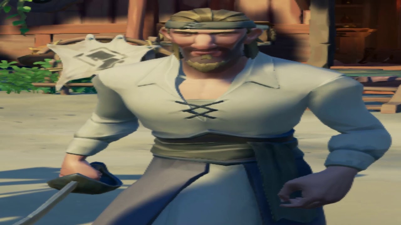widepirate.mp4