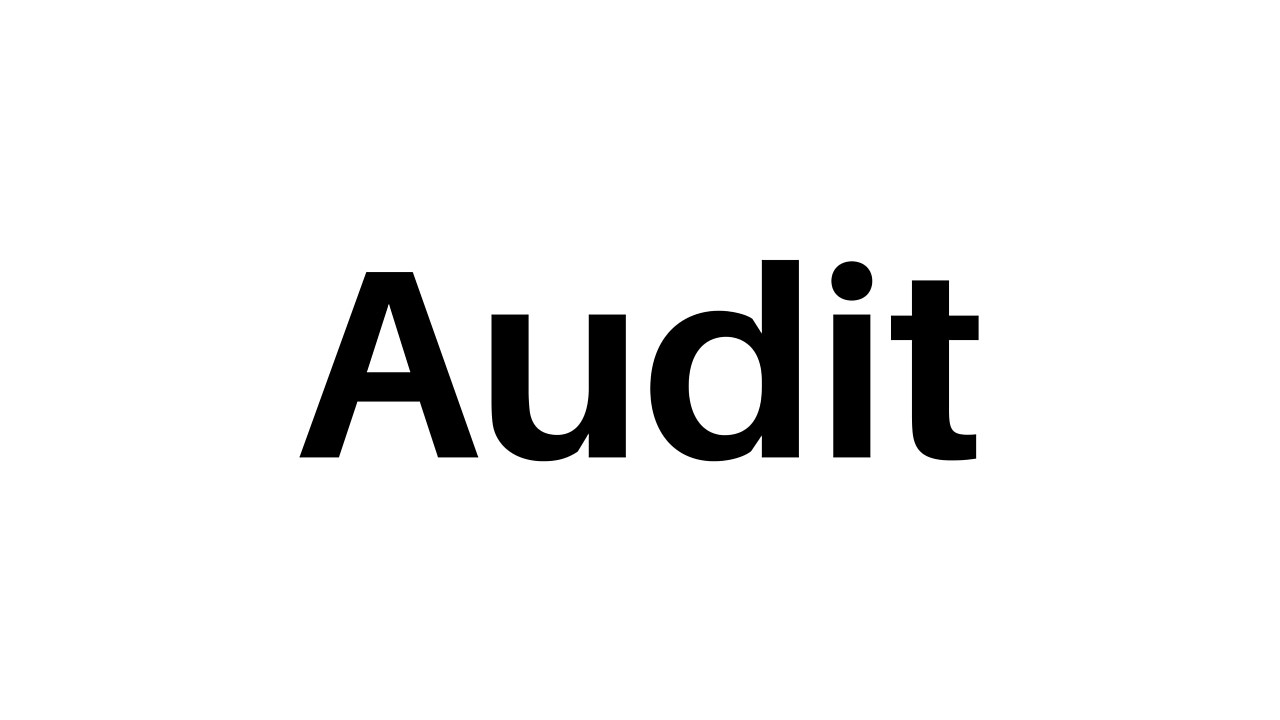 Audit Committee