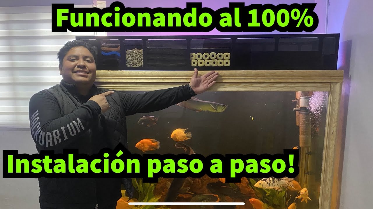 Tunéame el acuario: “El filtro aéreo de Miguel”
