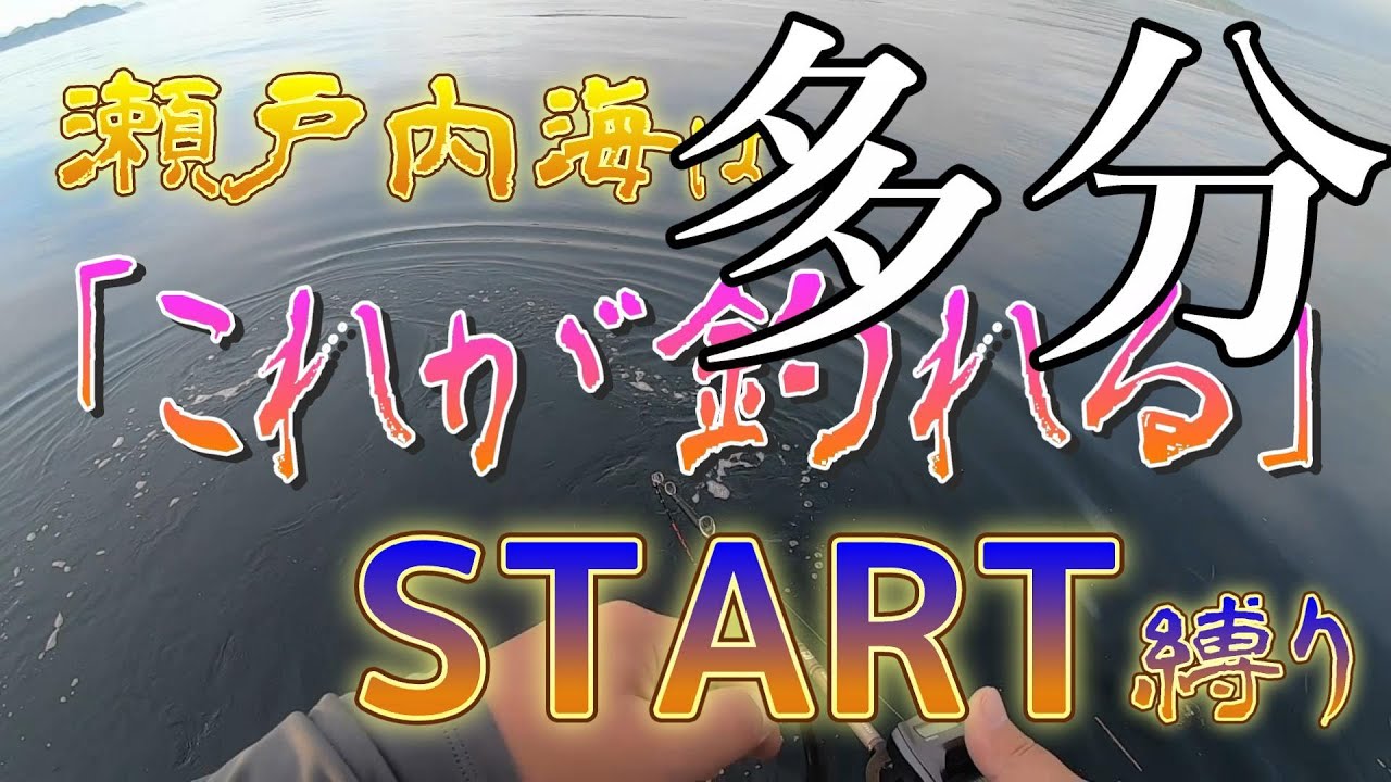 【タイラバ】瀬戸内海ではこのユニット