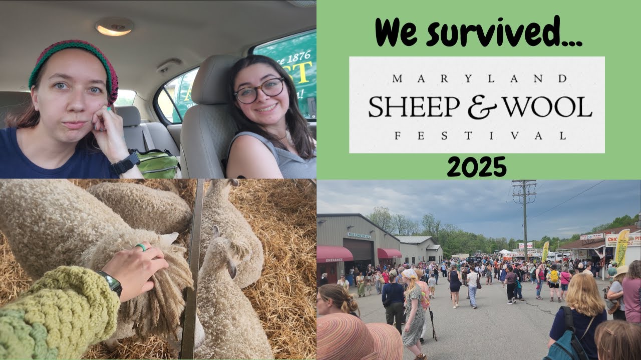 Maryland Sheep and Wool Festival 2025 | MDSW2025 | Hail & Hot Weather | @marylandsheepwoolfestival