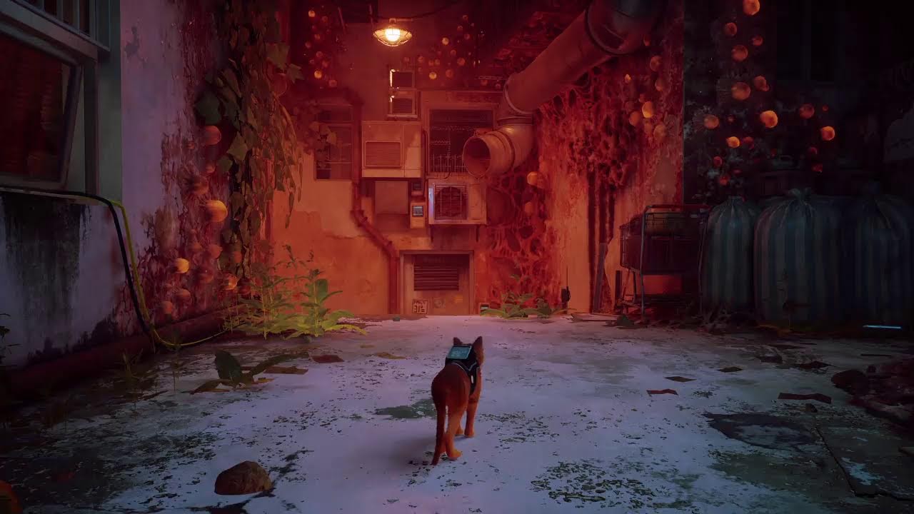 Stray Part 5 : Die Geheimwaffe gegen die Zurks wird sie uns helfen ?
