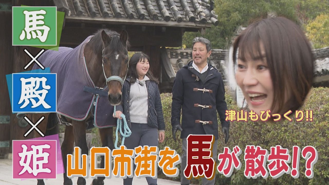【山口】毛利家の馬が現代にタイムスリップ！？山口市街地を闊歩！津山奈穂子