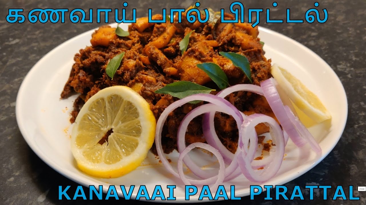 அசைவப் பிரியர்களுக்கான ஒரு அருமையான கணவாய் பிரட்டல்! Kanavaai Paal Pirattal | Kadamba Meen