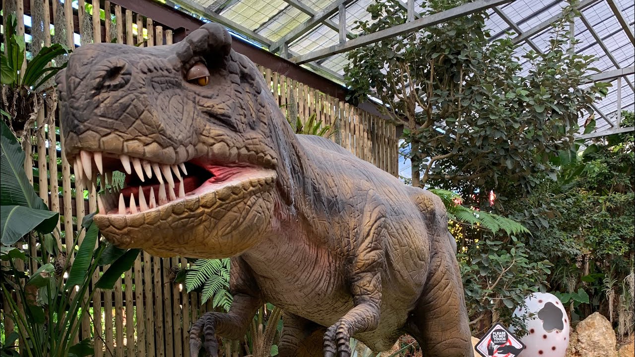 Nago Pineapple Park Dinosaur Adventure Tour 名護パイナップルパークダイナソーアドベンチャーツアー