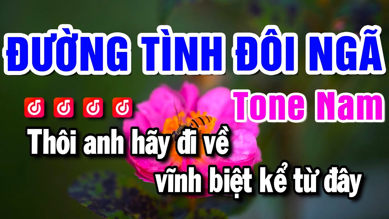 Karaoke Đường Tình Đôi Ngã Nhạc Sống Tone Nam | Beat Mai Lan