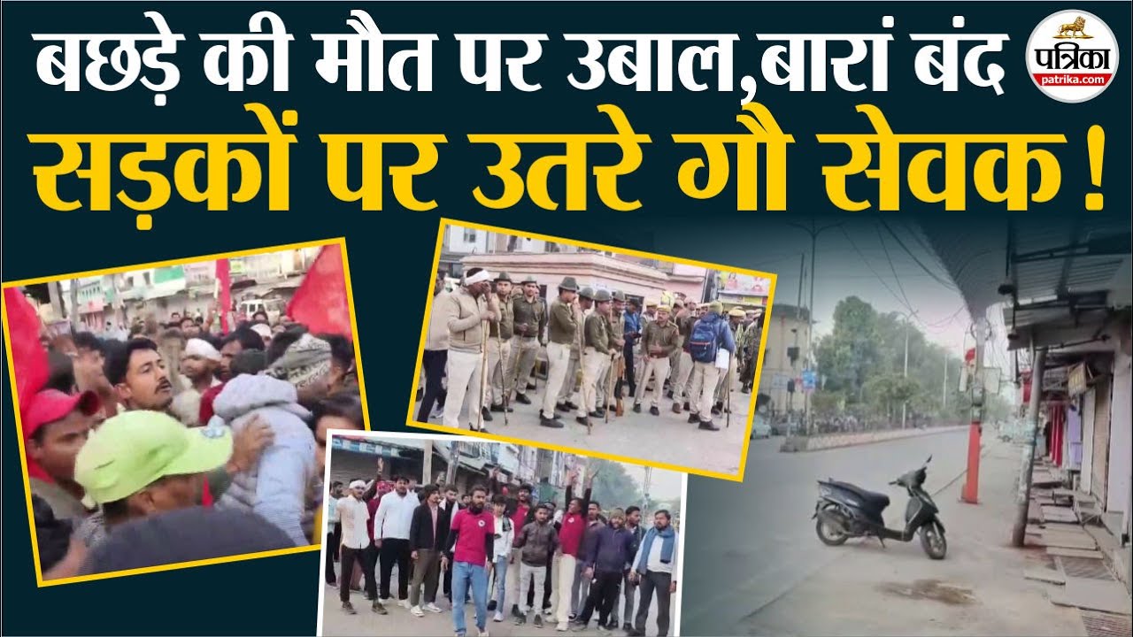 Baran Bandh: बछड़े की मौत पर उबाल,सड़कों पर उतरे गौ सेवक!Bachda Death Case । Rajasthan News