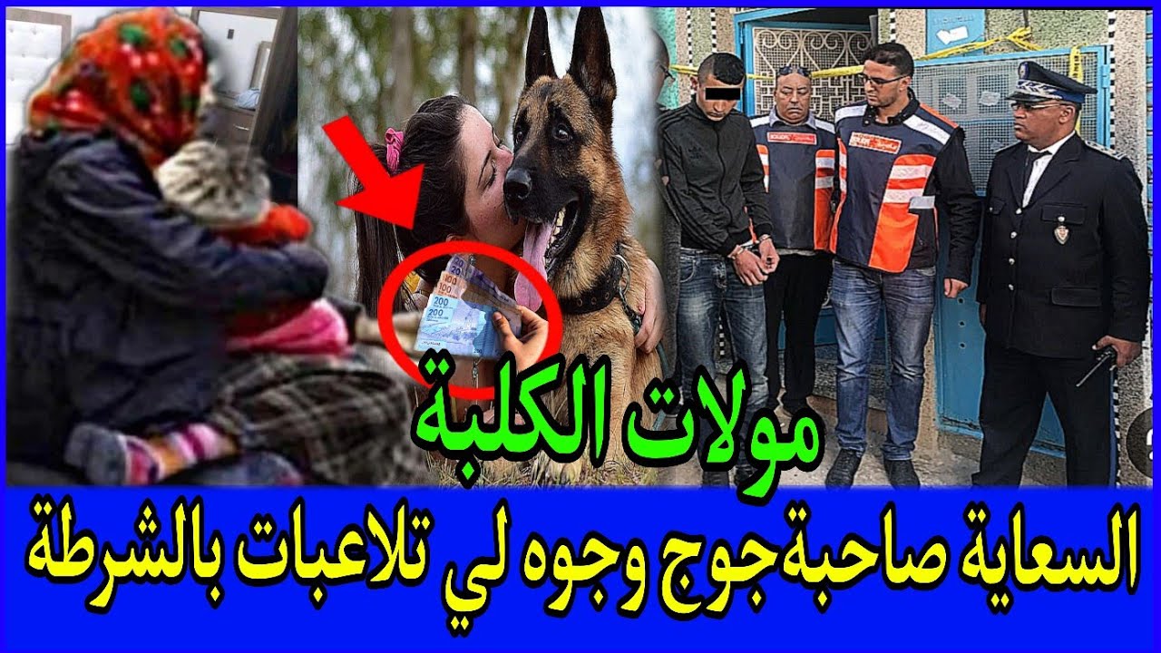 👈قصةالقمارعلال النيكرو والسعايةمولات الكلبة😱شنوسر71مليون لي خباتوا16سنة⁉️