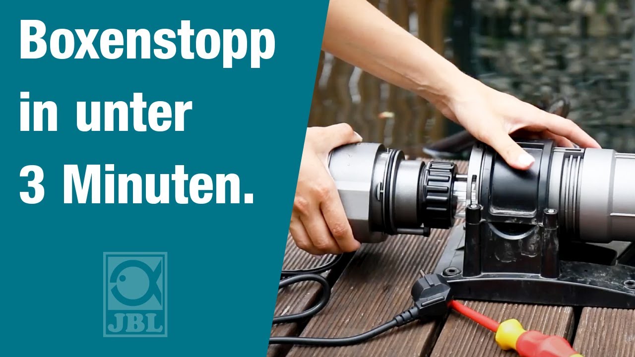 UV-Lampe tauschen - Klares Wasser im Teich erhalten