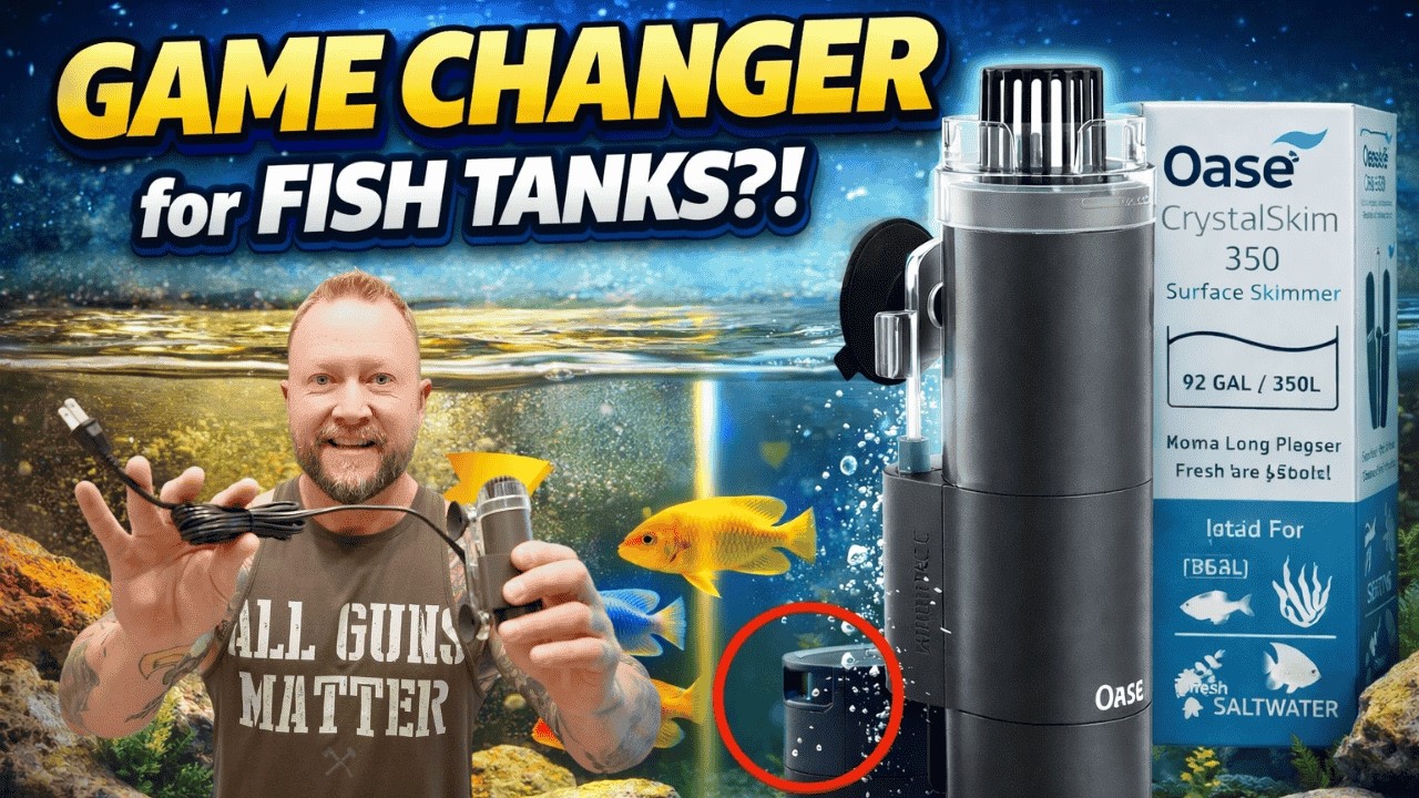 “Oase CrystalSkim 350 Unboxing & Setup – Is This the BEST Skimmer for Fish Tanks?”