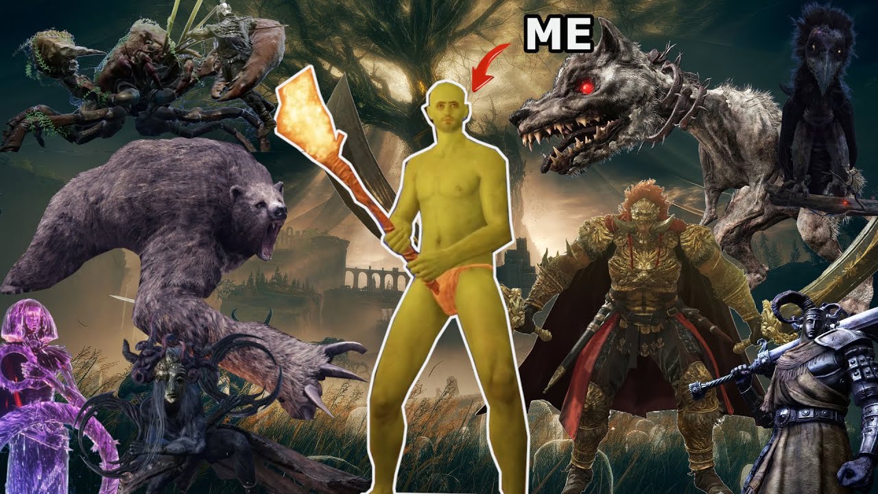 Elden Ring (+DLC) But Everything Is More Aggressive And I'm Always Under Attack
