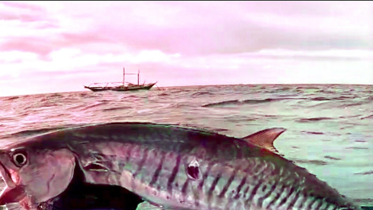 Nagpahabol pa! #spearfishing @Bgy.sta teresita dumaran