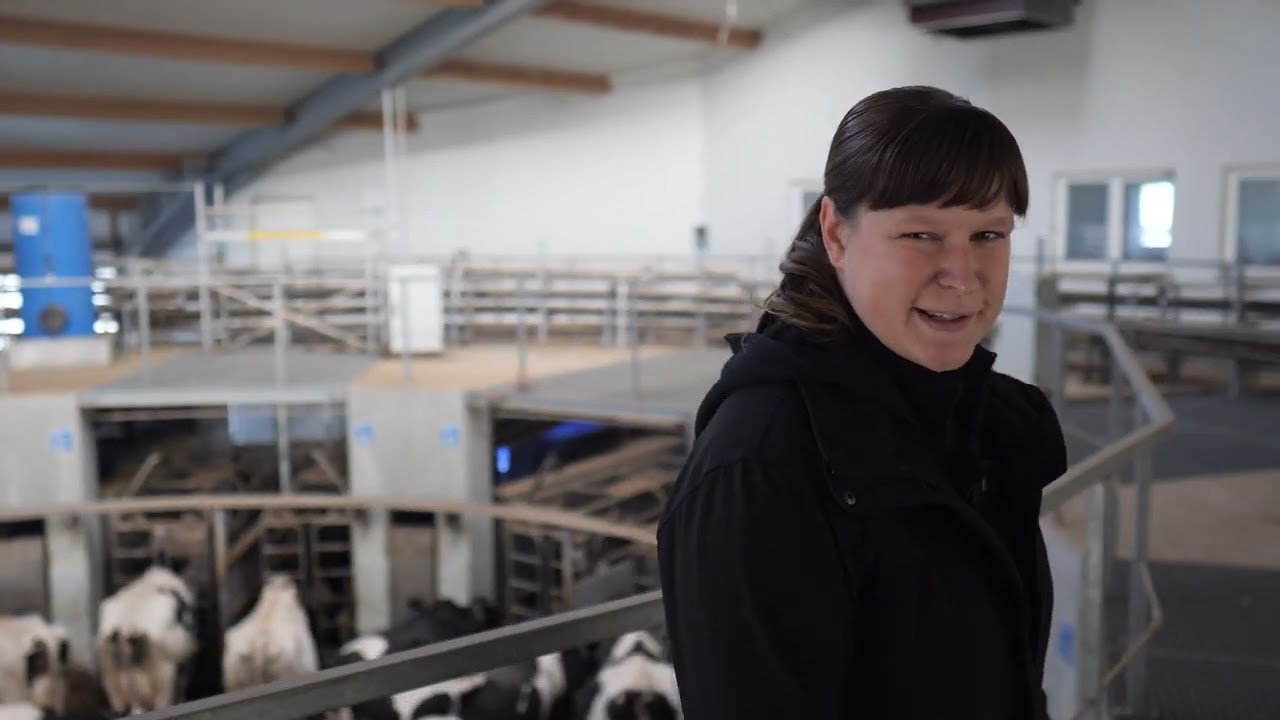 Batch Milking 4.0: 18 M²erlins sorgen in Kitzen für mehr Tierwohl, Leistung und Effizienz