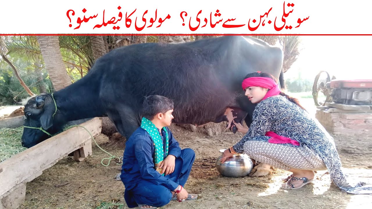 Wada Number Daar Noori Sotaili Behn Se Shadi Kirlo Bhola Kirli New Funny Punjabi Comedy Video|You Tv