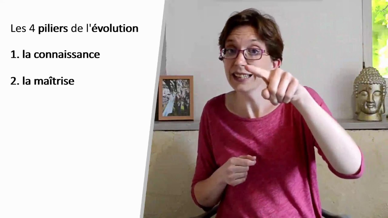 Etape 1.2 Programme SOS Tempête émotionnelle - 4 piliers de l'évolution + 4 étapes d'apprentissage