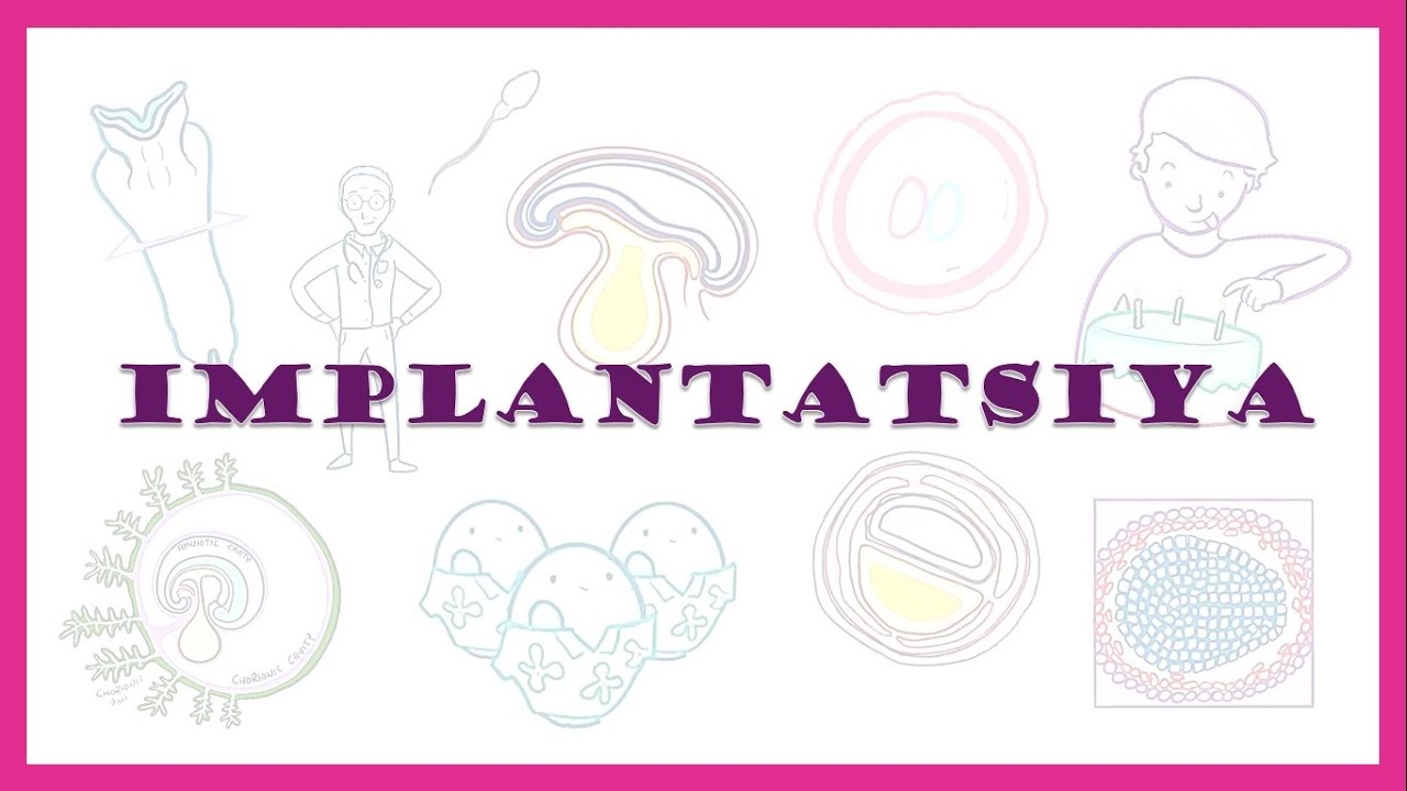 Implantatsiya | Implantation | Embrional rivojlanishning birinchi haftasi