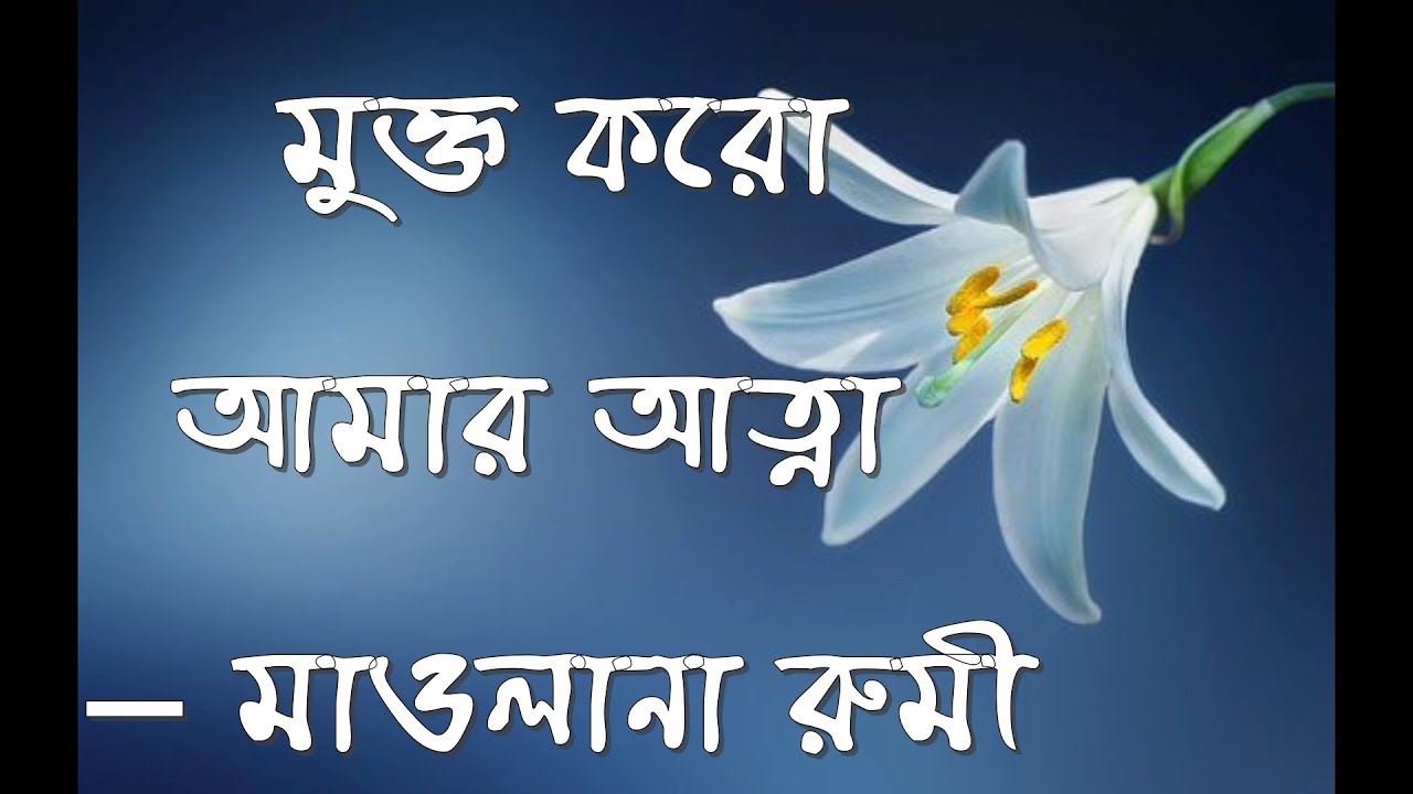 মুক্ত করো আমার আত্না – মাওলানা রুমী