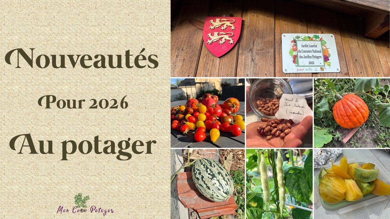Que va t'il se passer en 2026 ?
