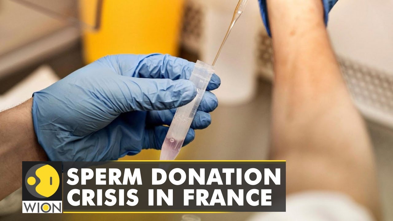 France faces sperm donation crisis | Motherhood | English News | World News | WION