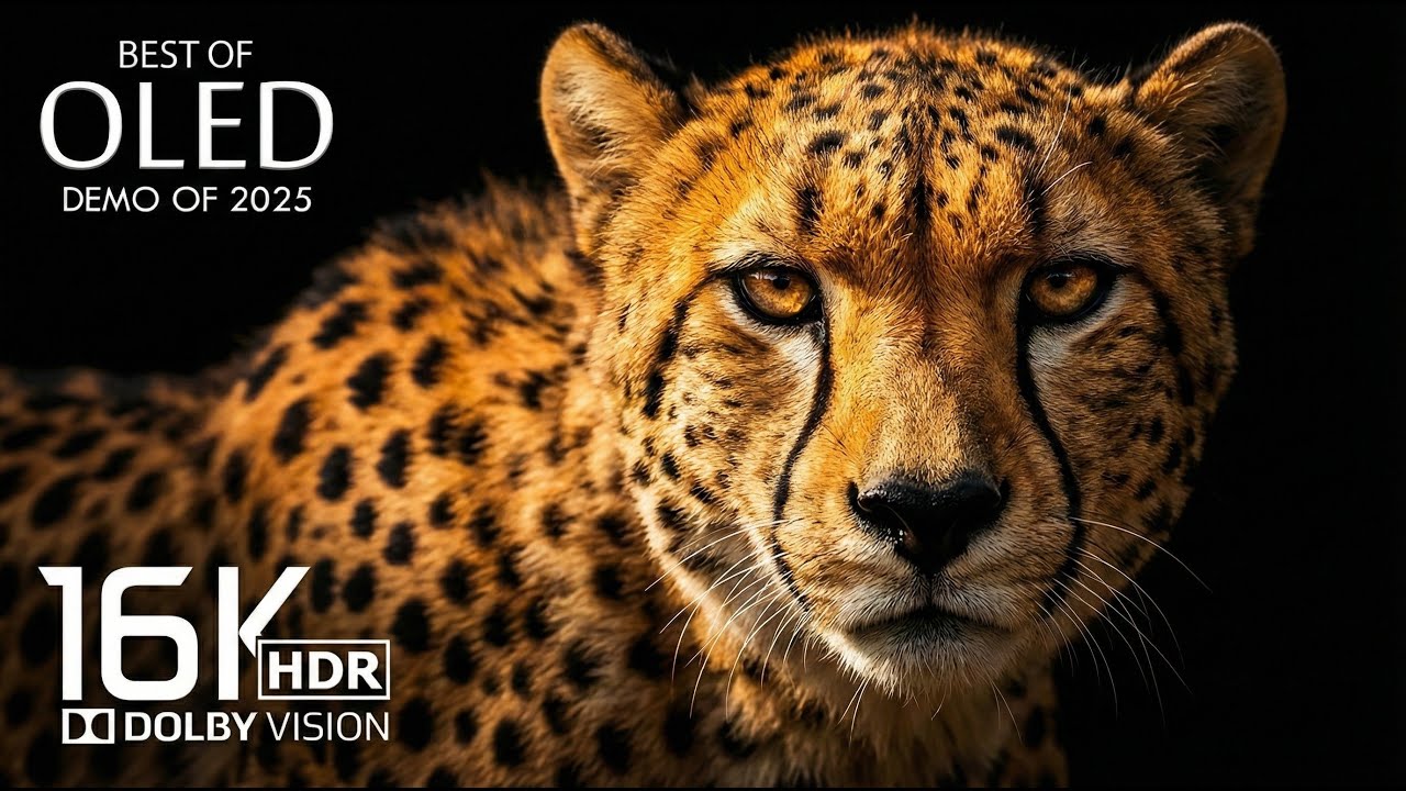 Amazon Animals in 4K - Beautiful Scenery Combined with Soothing Relaxing Music