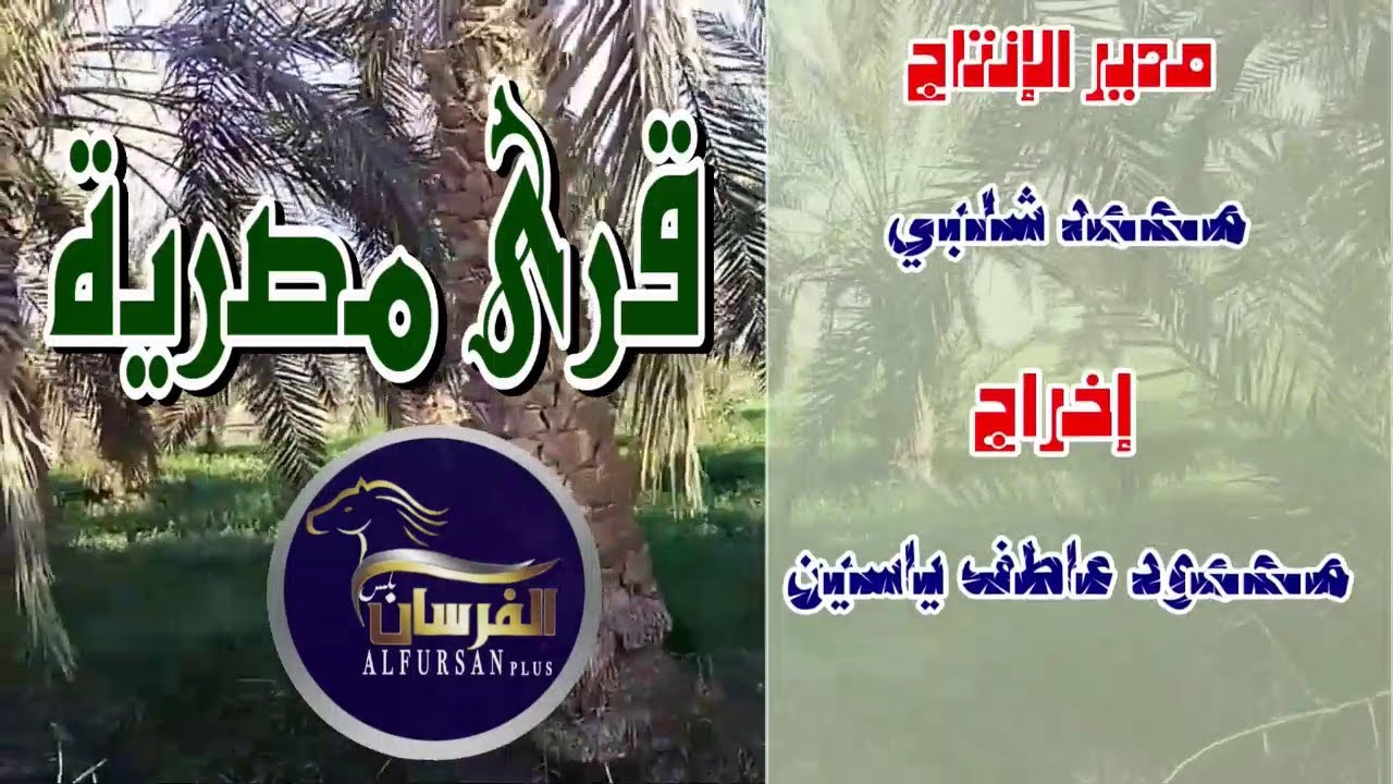 قرية دنجواي - شربين  - برنامج قرى مصرية -