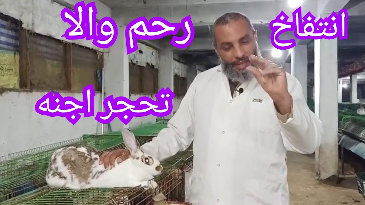 ارانب الخير اعرف الفرق بين التحجر و انتفاخ الرحم مهم جدا،٢٩٥