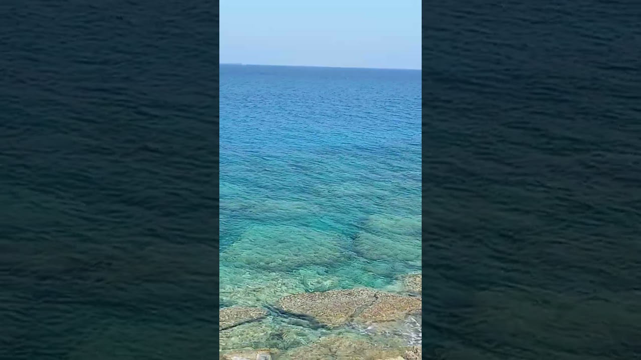 Шаганэ ты моя,Шаганэ #live #summer #shorts #shortsvideo #movie #song #zodiac #video #viralvideo