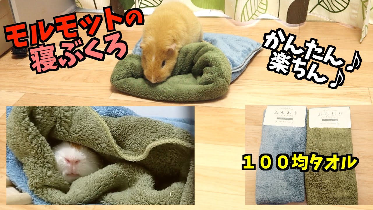 【モルモット】１００均のタオルで簡単な寝袋作りました