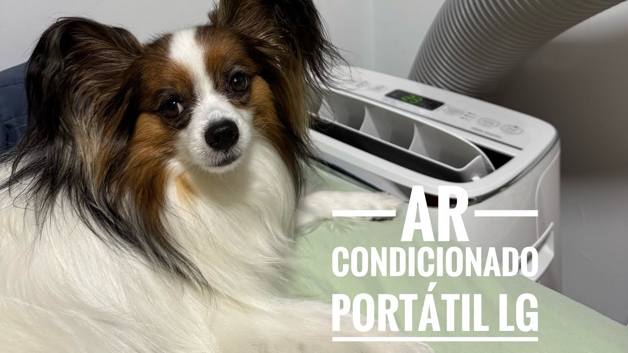 Ar condicionado portátil LG dual inverter 