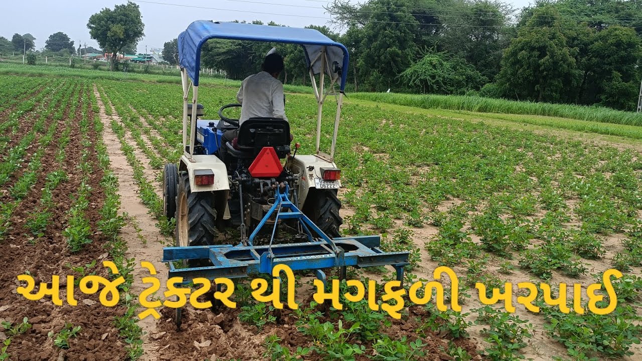 આજે ટ્રેક્ટરથી મગફળી ખરપાઈ ગૂજરાતી vlogs👌👌