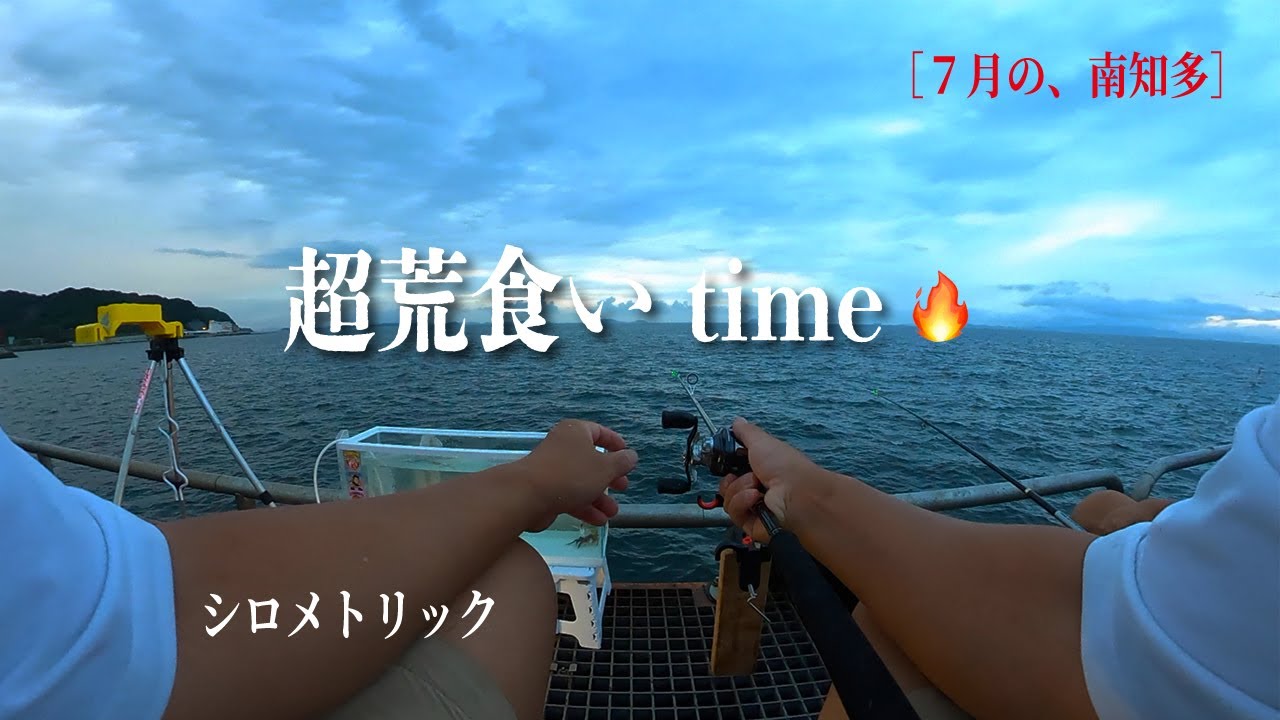 ［シロメトリック］18:30から60分間※トリックシロメ、サビキは５号。