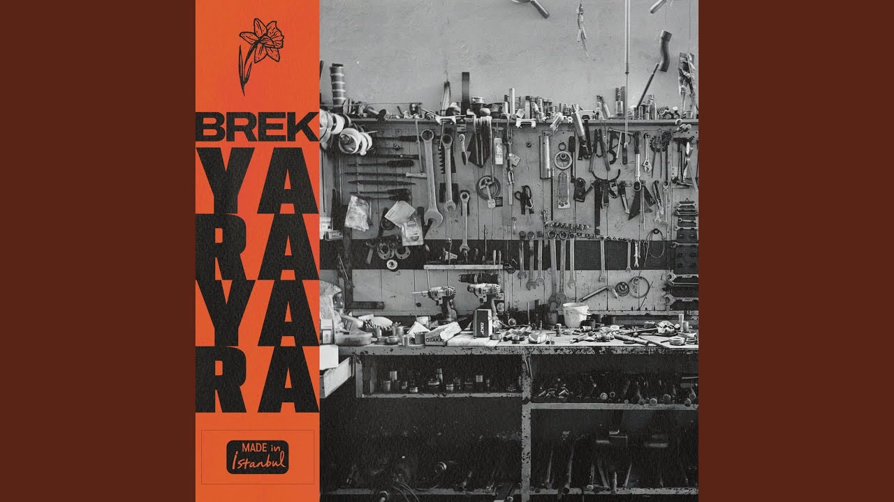Yara Yara