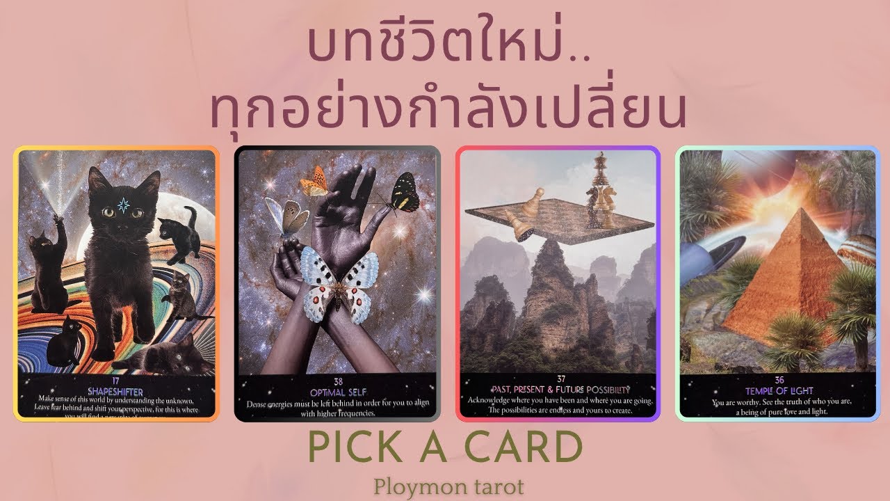 ถ้าคุณมาเจอคลิปนี้…บทชีวิตถัดไปของคุณถูกเปิดแล้ว l Pick a card