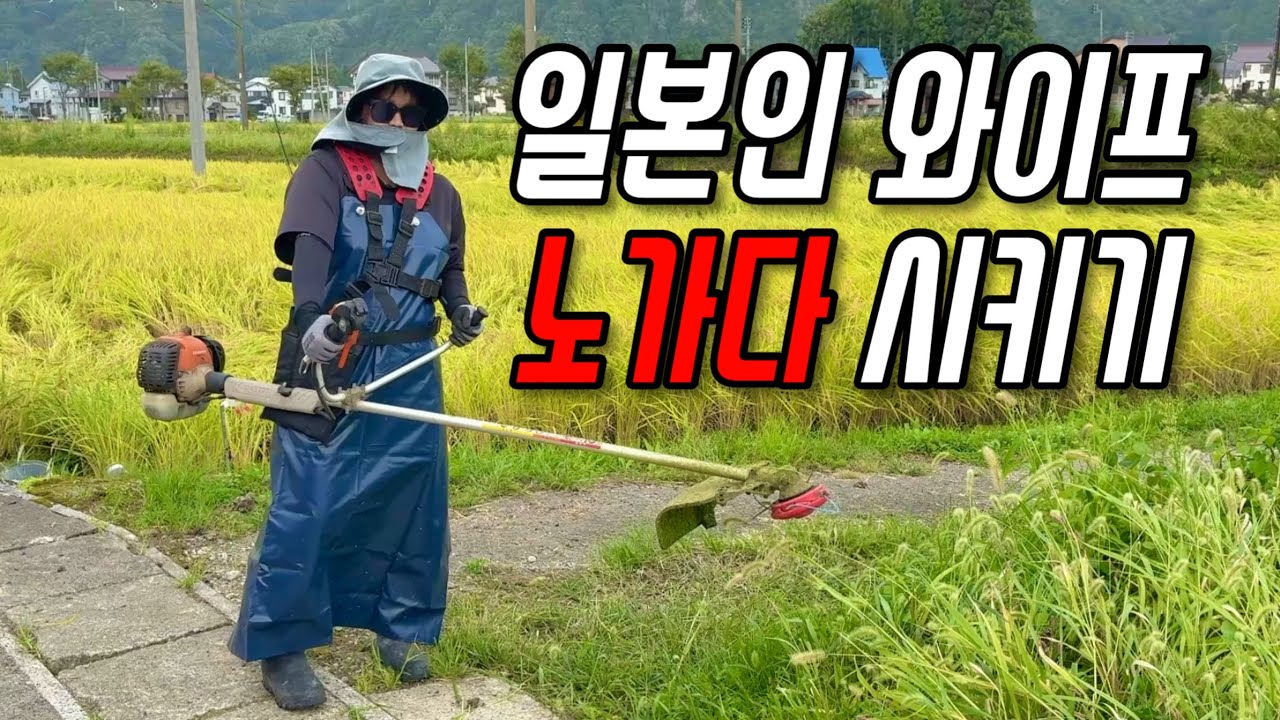 일본인 아내를 부려먹어봤습니다.
