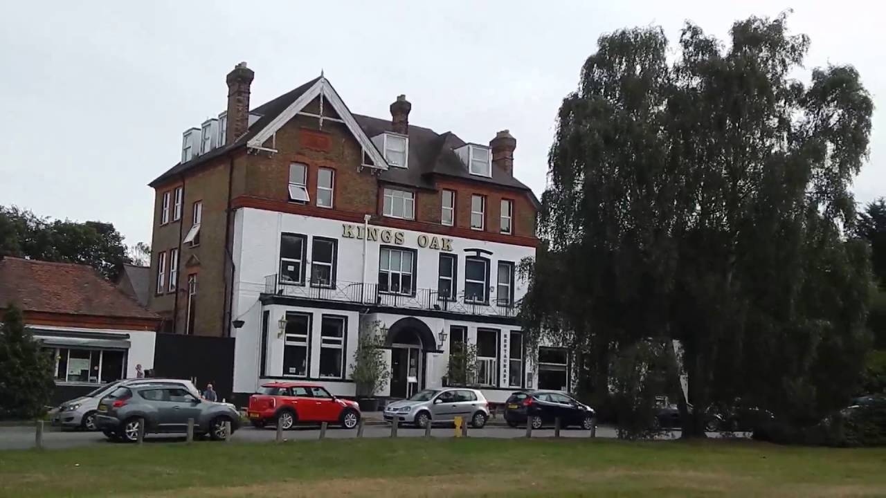 The Three Forests Way: Loughton to Upshire Through Epping Forest  24 September 2016