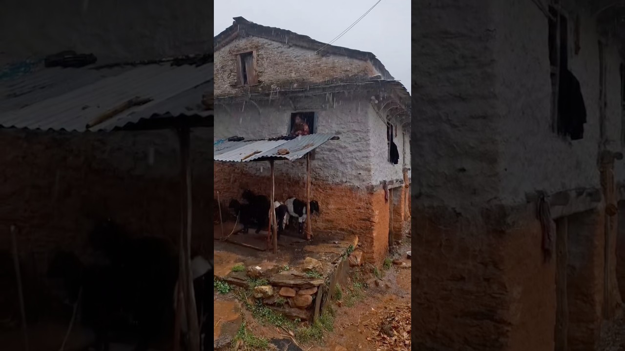 Poor but Happy Himalayan Family Cooking Dinner in Heavy Rain, Storm and Hail in Nepal Village