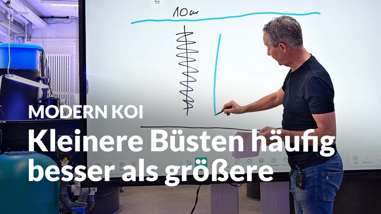 Welche Größe und welchen Abstand sollten Filterbürsten haben? | Modern Koi Blog #6542