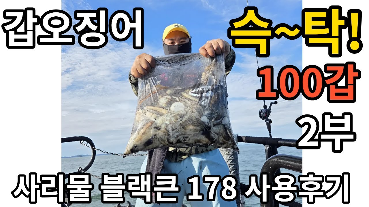 갑오징어 낚시 사리에 100갑하기 2부 (액션 방법과 채비설명)