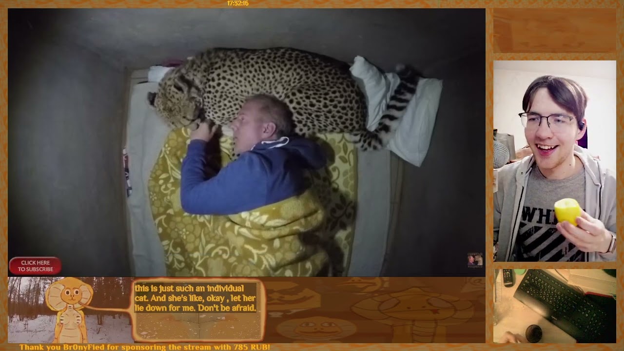 [31/01/2026] Сhatting stream & Project RCat development [РУС/ENG]