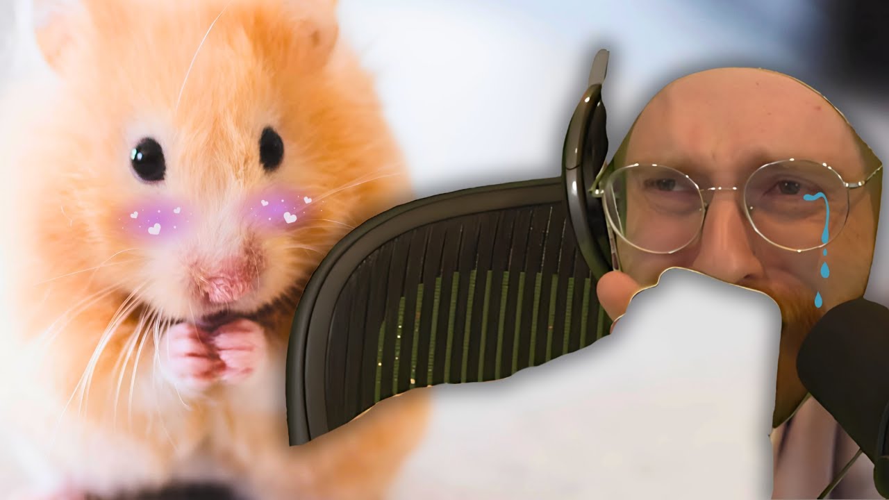 Wubby TRAUMATIZED By An Innocent Mouse